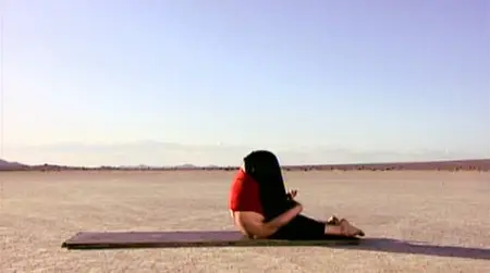 Power Yoga - Ursula Karven