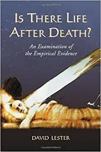 Is There Life After Death? An Examination of the Empirical Evidence