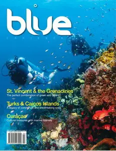 Blue Caribbean Magazine Vol.2 Issue 2