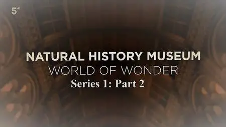 CH.5 - Natural History Museum World of Wonder: Series 1 Part 2 (2020)