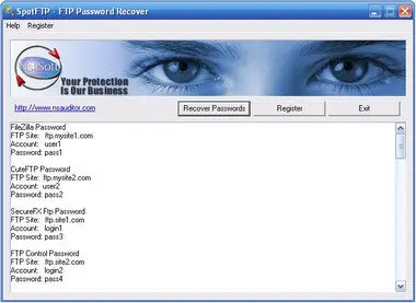 Nsasoft SpotFTP Password Recover 2.0.0 