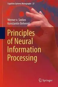 Principles of Neural Information Processing (Repost)
