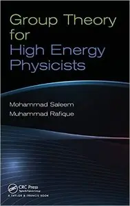 Group Theory for High Energy Physicists