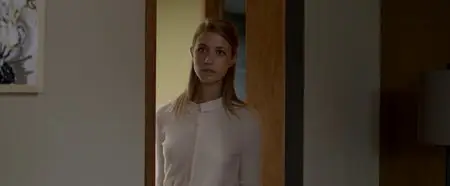 Borgman (2013)