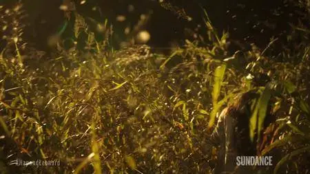 Hap and Leonard S03E04