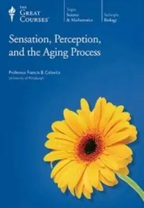 Sensation, Perception, and the Aging Process