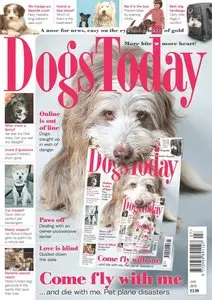 Dogs Today - July 2015