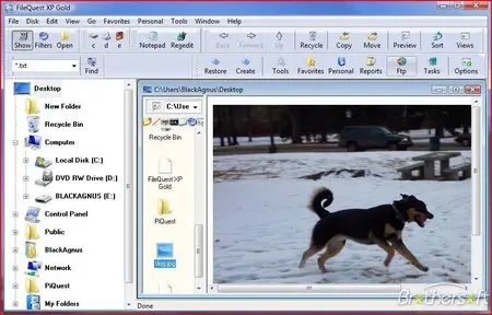 FileQuest 7 Gold 6.7.0.0