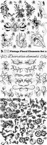 Vectors - Vintage Floral Elements Set 2