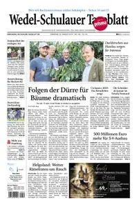 Wedel-Schulauer Tageblatt - 20. August 2019