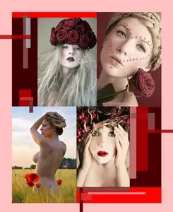 Photographer Karl Muse