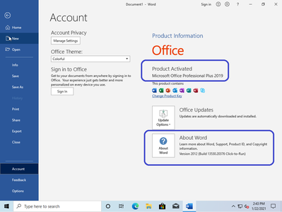 Windows 10 Home 20H2 10.0.19042.746 (x86/x64) With Office 2019 Pro Plus Preactivated January 2021