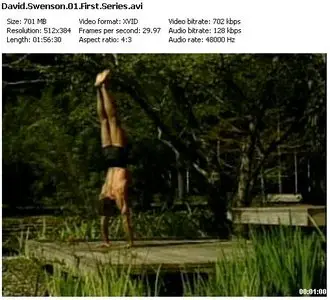 David Swenson & John Scott - Ashtanga Yoga Videos