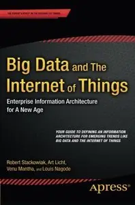 Big Data and The Internet of Things: Enterprise Information Architecture for A New Age (repost)