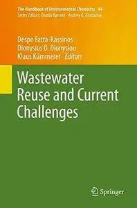 Wastewater Reuse and Current Challenges (The Handbook of Environmental Chemistry) (Repost)