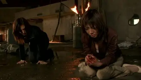 Zero Woman 2005 (2004) 