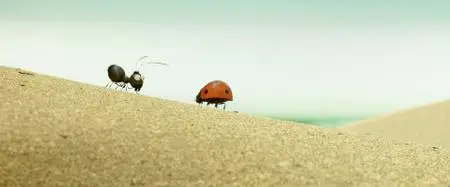 A Minuscule Adventure (2018)