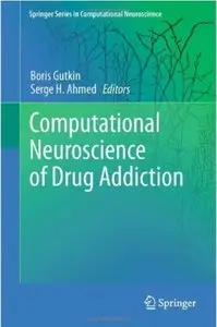 Computational Neuroscience of Drug Addiction (repost)