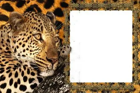 Leopard Frame for Photoshop