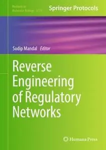 Reverse Engineering of Regulatory Networks