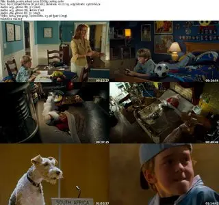 Cats & Dogs (2001)