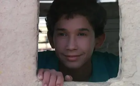 عصفور السطحHALFAOUINE (1990)