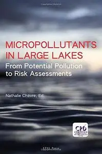 Micropollutants in Large Lakes: From Potential Pollution Sources to Risk Assessments