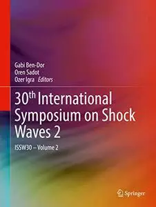 30th International Symposium on Shock Waves 2: ISSW30 - Volume 2 (Repost)