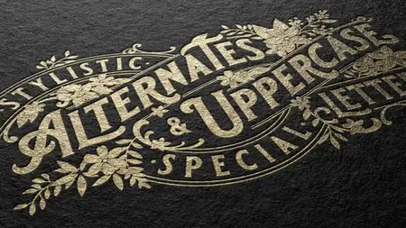 LOGO MOCKUP 53419232