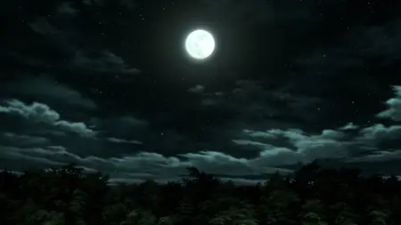 S04E02-Water Hashira Giyu Tomioka's Pain