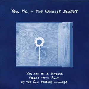 You, Me, + the Whales - You are in a Kitchen Filled with Plants as the Sun Streams Inwards (2026) [Official Digital Download]