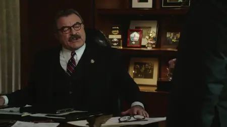 Blue Bloods S09E18