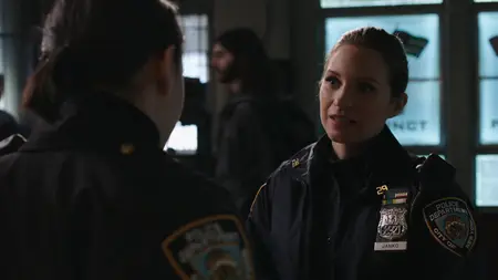 Blue Bloods S09E18