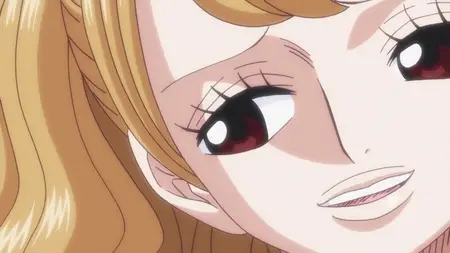 One Piece 815