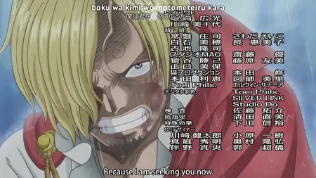 One Piece 815