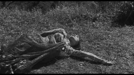 Shakespeare-Wallah (1965)