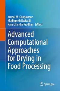 Advanced Computational Approaches for Drying in Food Processing