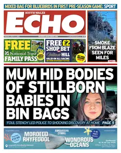 South Wales Echo - 11 July 2025