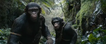 Kingdom of the Planet of the Apes (2024)