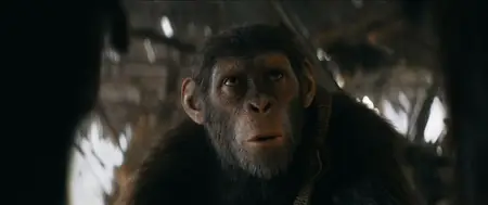 Kingdom of the Planet of the Apes (2024)