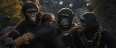 Kingdom of the Planet of the Apes (2024)