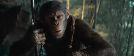 Kingdom of the Planet of the Apes (2024)