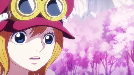 ONE PIECE S01E1117