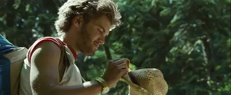Into the Wild (2007)