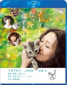 Gu Gu The Cat (2008)