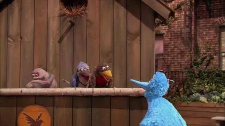 Sesame Street S48E23