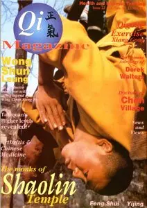 Qi Magazine 22
