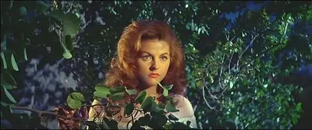 The Road to Fort Alamo (1964)