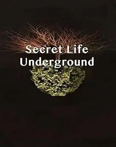 Arte - Secret Life Underground: Series 1 (2016)
