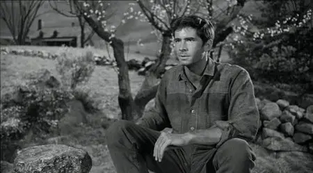 Desiderio Sotto Gli Olmi (1958)